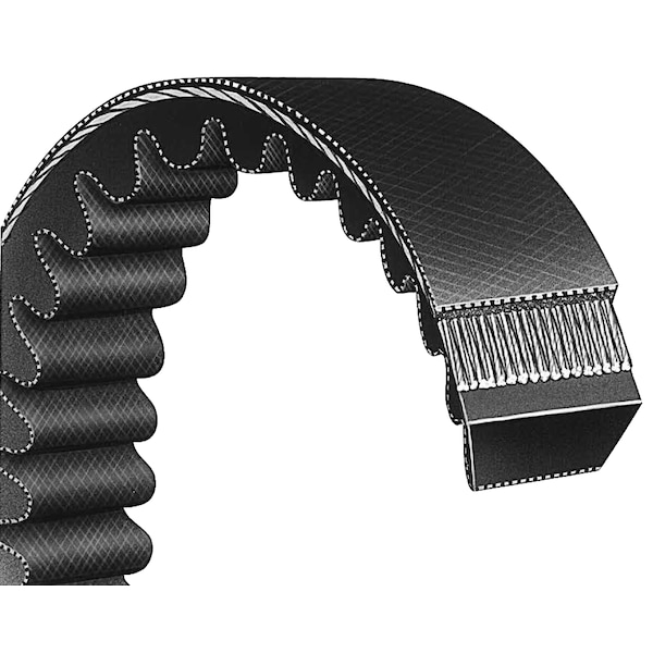 Bando Belt, 787 mm Outside Length, 30 mm Top Width, 8 mm